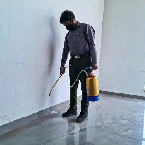Pest Control Work